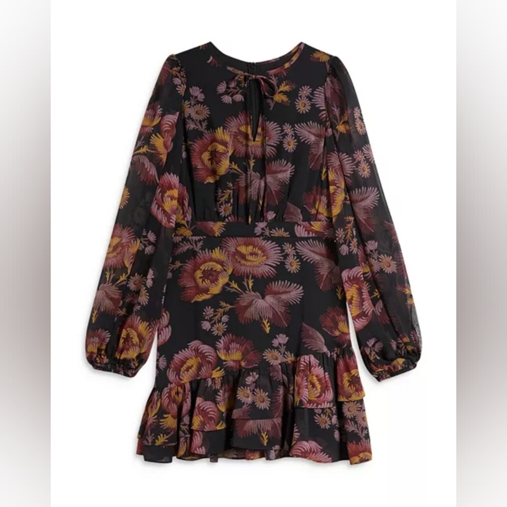 Piara Ruffle Asymmetric Mini Dress - Picture 4 of 13